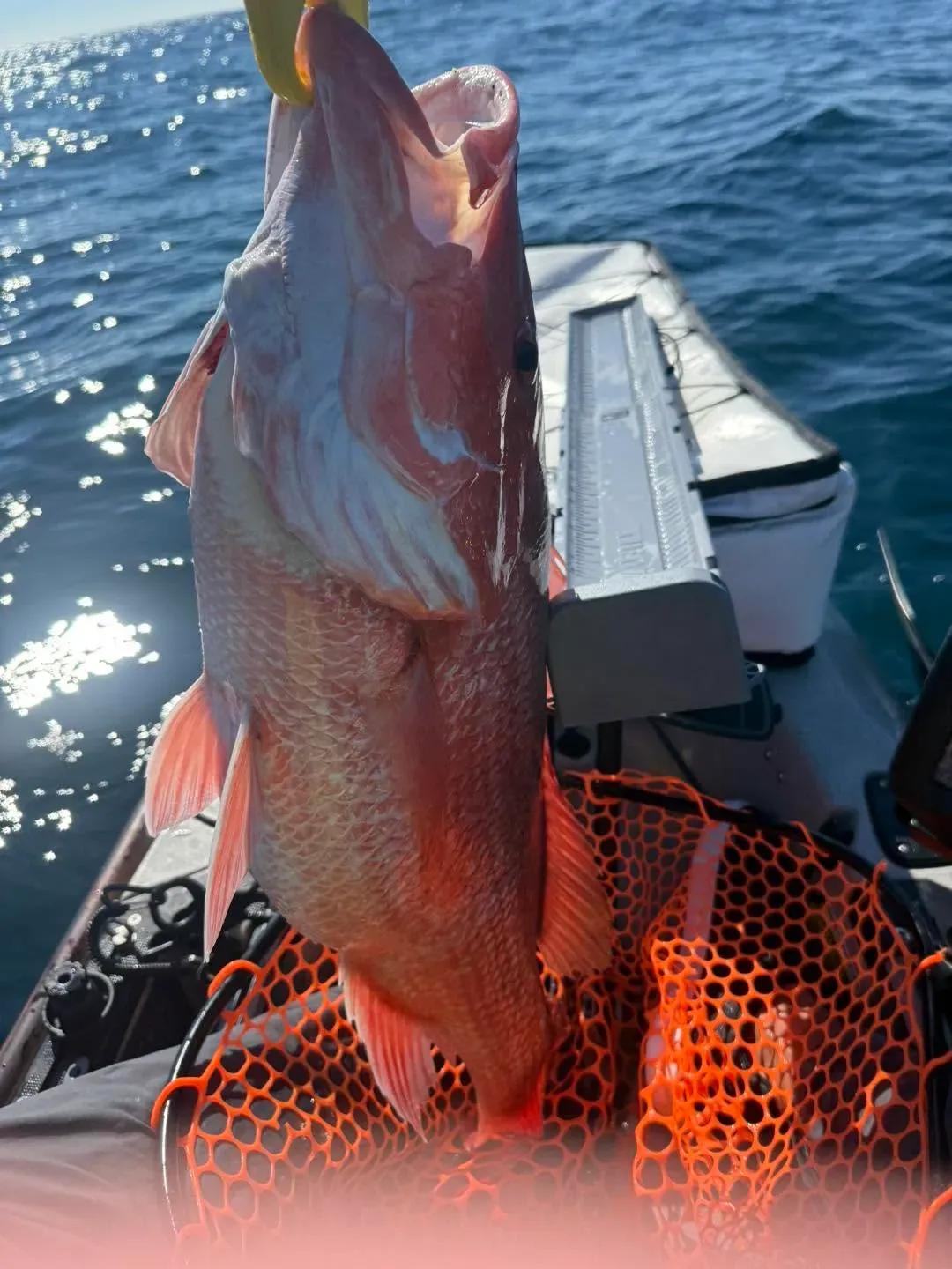 Best Time for Red Snapper Fishing Florida